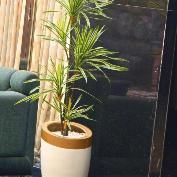 Plante-artificielle-Dragonnier-avec-pot-Blanc-prix-Casablanca-Maroc-coucouMarket