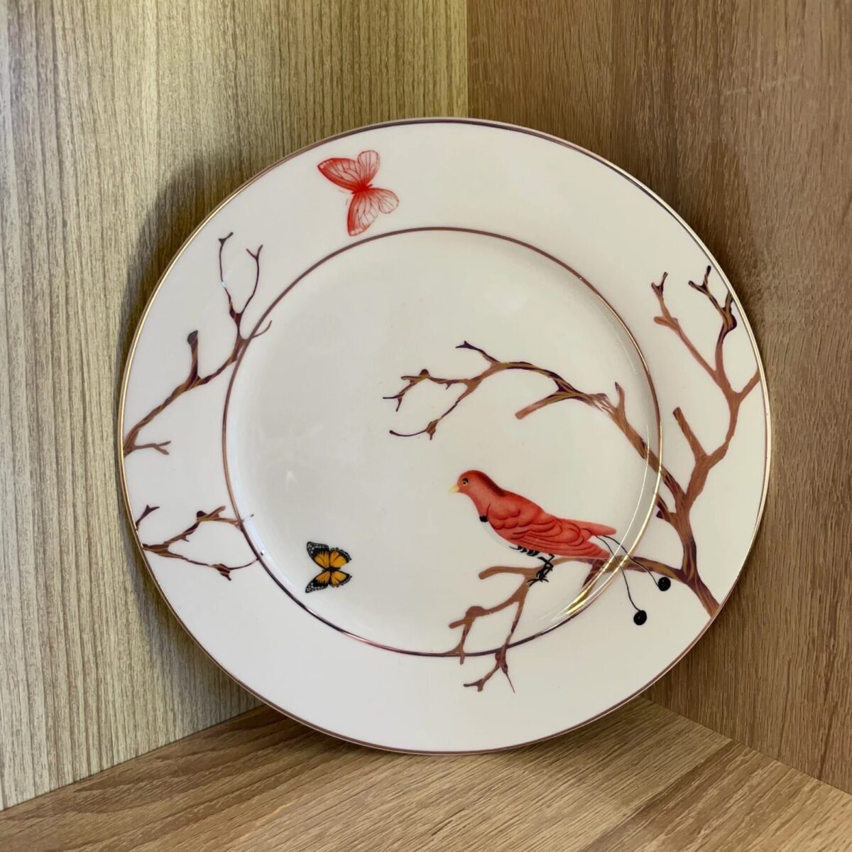 service-assiettes-plumea-bleue-et-Rouge-de-36-pieces-PRIX-promo-casablanca-maroc-coucouMarket-Rabat-Fes-Marrakech-Tanger